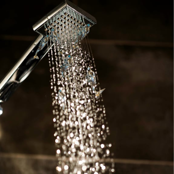 ginger-hendee-N8buV78yNBo-unsplash-1